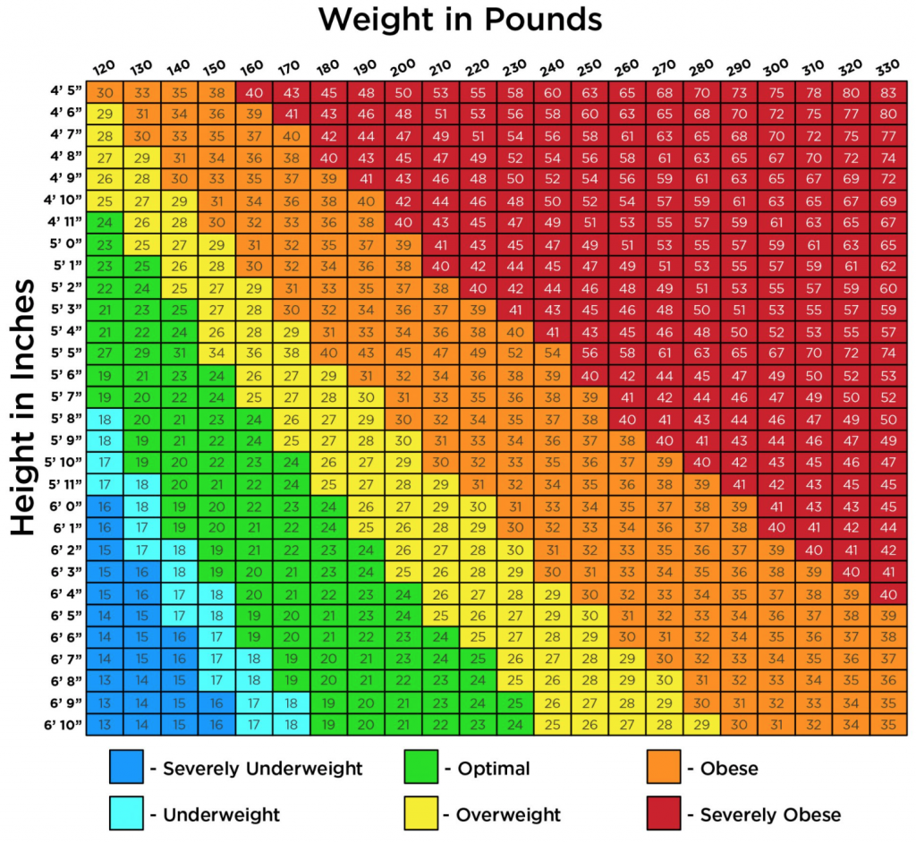 bmi-calculator-diet-portal